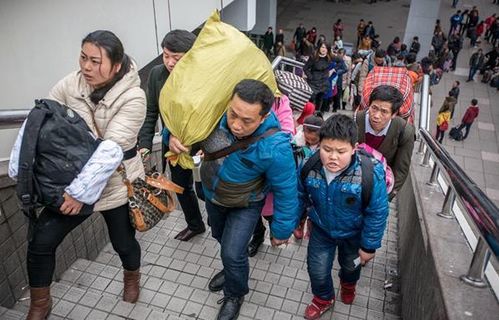 女子一家五口搬回农村“逆向”养娃