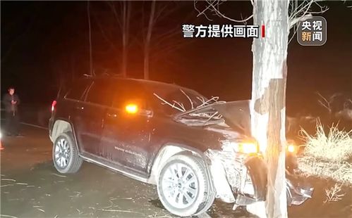 男子为骗保开车撞树当场身亡